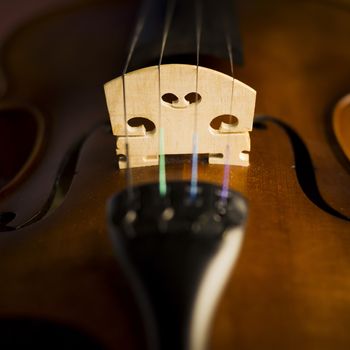 "time to practice violin" violin in vintage style on wood background