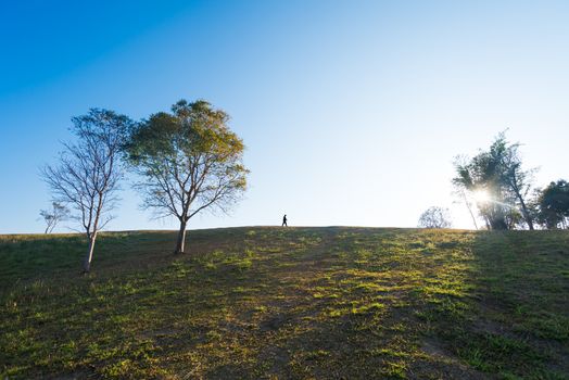 silhouette of people and tree  on hill with sunrise and lens flare effect