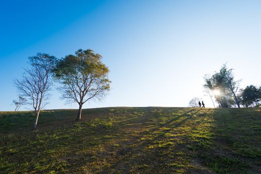 silhouette of people and tree  on hill with sunrise