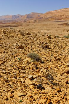 Stones of Grand Crater in Negev Desert, Israel