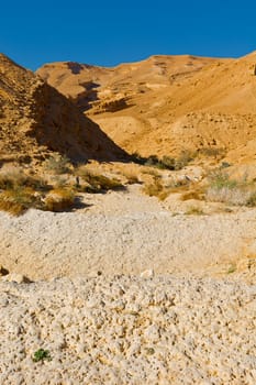 Dry Riverbed in the Negev Desert