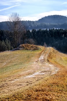 Footpath in a autumn landscape taken in upper austria