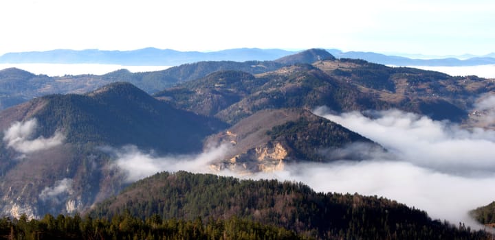 Landscape from Tara Mountain in Serbia