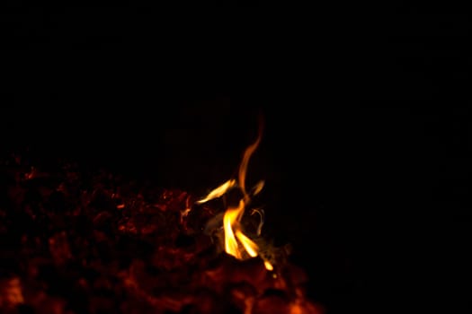 flames from the coals on a black background