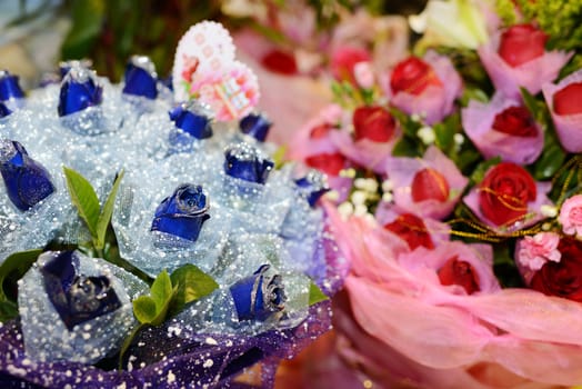 Blue and red rose flowers