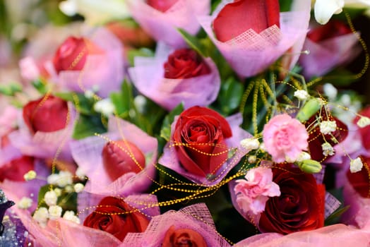 Red rose flowers