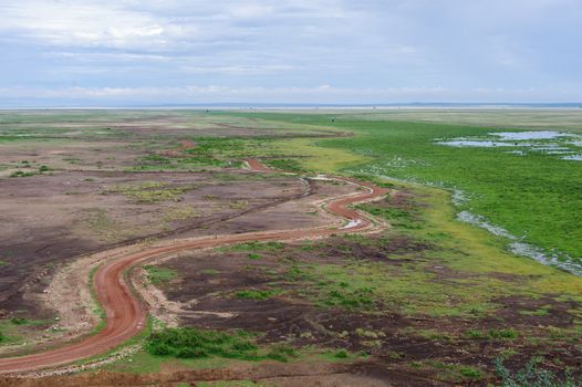 the road of amboseli national park in South Kenya.