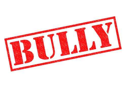 BULLY red Rubber Stamp over a white background.