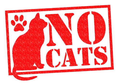 NO CATS red Rubber Stamp/Sign over a white background.