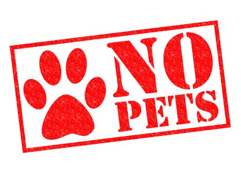 NO PETS red Rubber Stamp over a white background.