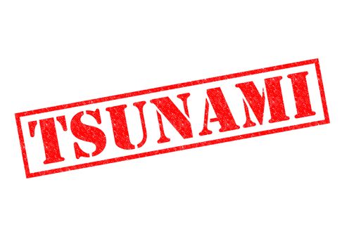 TSUNAMI red Rubber Stamp over a white background.