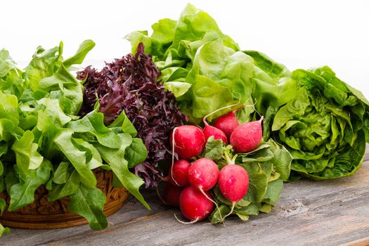 Healthy fresh salad ingredients displayed on old weathered wooden boards with several varieties of leafy green lettuce and a bunch of crisp peppery radish over a white background with copyspace