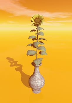 One single sunflower in a vase by sunset