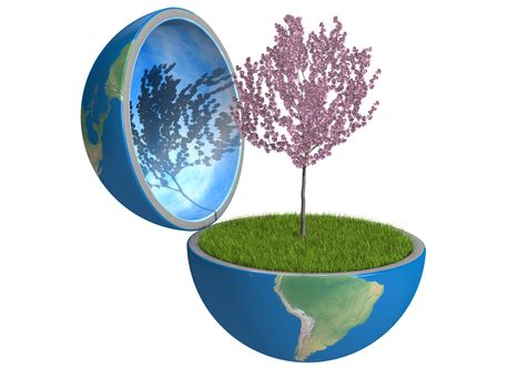 Flowering tree growing inside opened planet Earth, isolated on white background, concept of ecology, symbol of new life. Elements of this image furnished by NASA