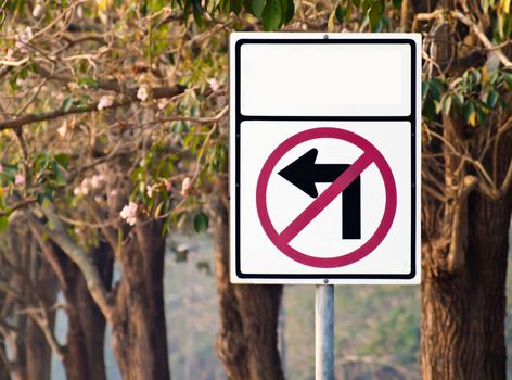 Traffic sign no left turn again pink trumpet tree with flower in forest