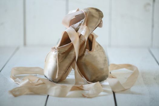 Romantic Posed Pointe Shoes in Natural Light 