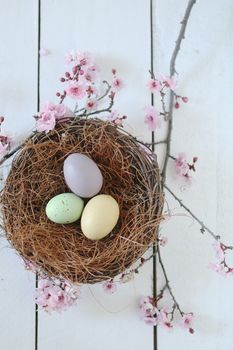 Spring Easter Holiday Themed Still Life Scene in Natural Light