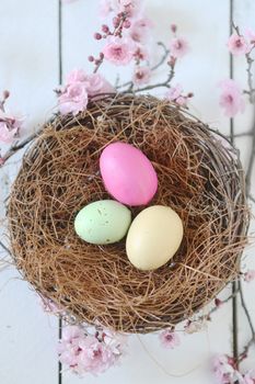 Spring Easter Holiday Themed Still Life Scene in Natural Light