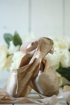 Romantic Posed Pointe Shoes in Natural Light 