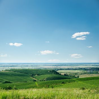 view to vineyard and blue sky
