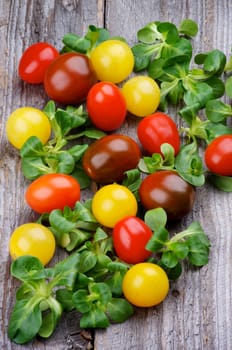 Arrangement of Red, Yellow and Brown Cherry Tomatoes with Fresh Picked Corn Salad on Rustic Wooden background