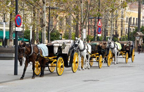 Carriage Tour, Seville