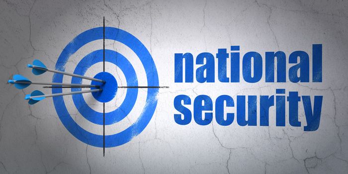 Success privacy concept: arrows hitting the center of target, Blue National Security on wall background, 3d render