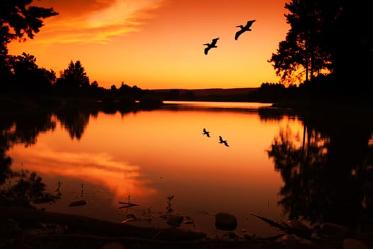 Summer sunset and silhouettes on the Lake, Australia.