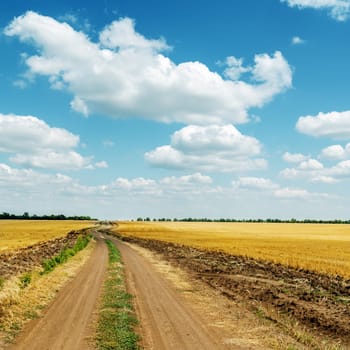dirty road to horizon in field and clouds in blue sky