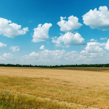 agriculture field after harvesting and clouds over it