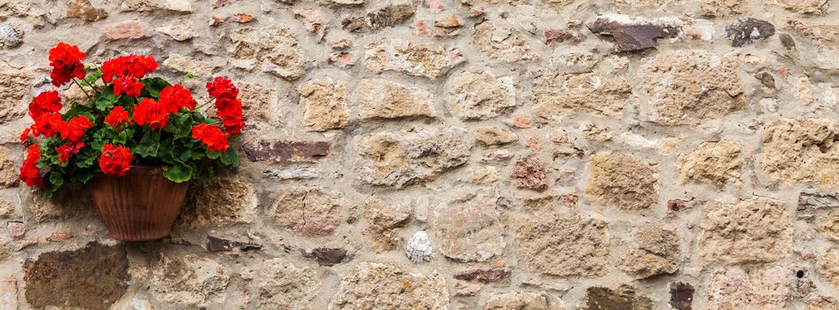 Pienza, Tuscany region, Italy. Old wall with flowers