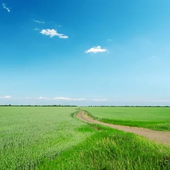 road in green field under blue sky