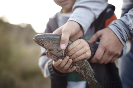 Hands of mother and son holding trapped fish