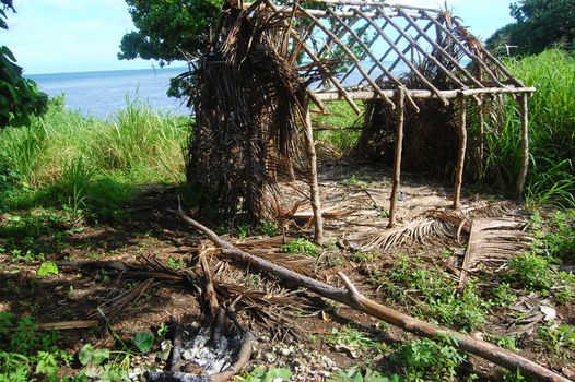 Abandoned timber village house frame, Kingdom of Tonga