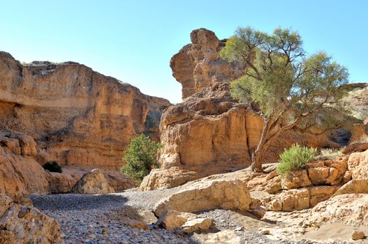 The Sesriem Canyon near Sossusvlei in Namibia

