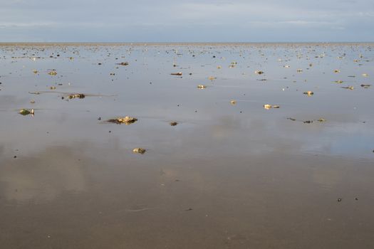 Wadden sea around the island Sylt in Germany at low tide