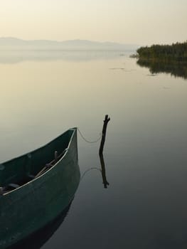 Wooden boat and reeds in morning light