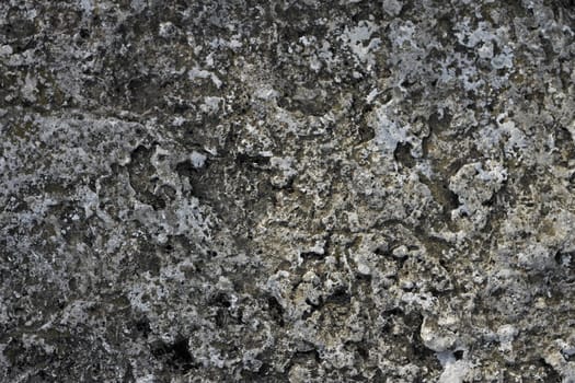 Natural background with a stone and the moss
