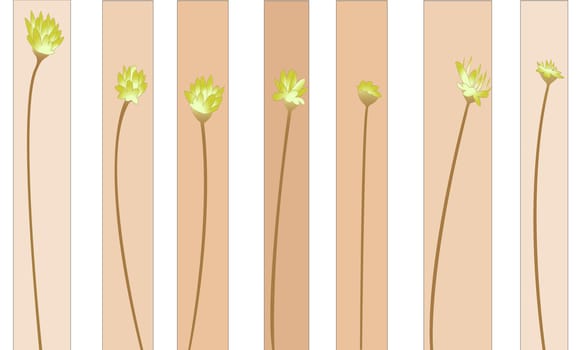 Flowers. Vector illustration.