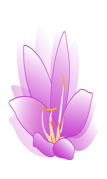 Flower. Vector illustration.