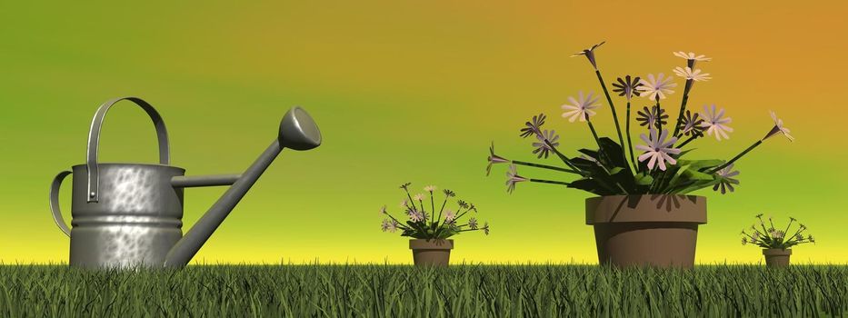 Watering can in the garden next to flowers into pot by sunset