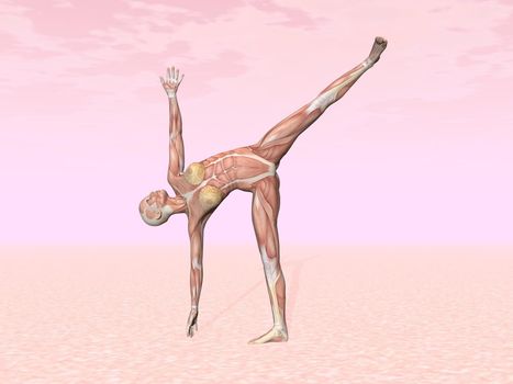 Half moon yoga pose for woman with muscle visible in pink background