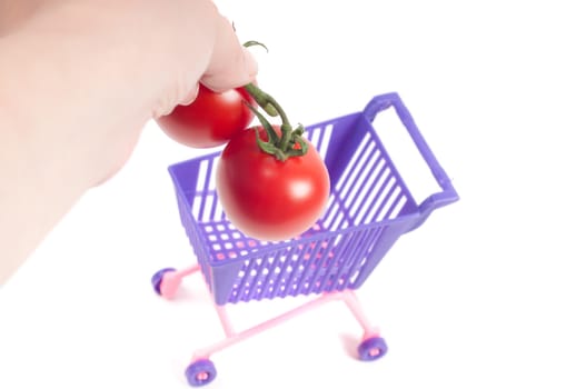 Hands putting tomatoes into shopping-cart, isolated on white