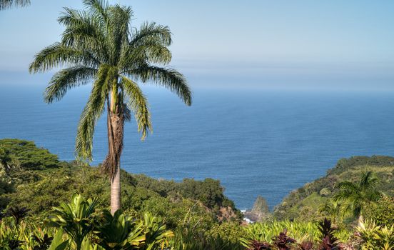 Kaumahina State Wayside overlooking the Pacific Ocean on The Road to Hana on the beautiful Hawaiian Island of Maui