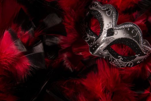 Mardi Grask mask on abstract background of red and black feathers