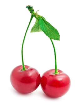 Beautiful red cherry isolated on white background