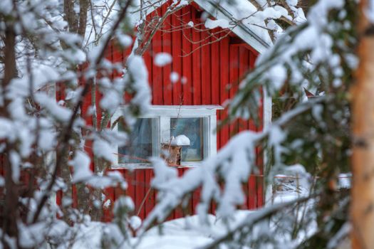 Red wooden Finnish house in winter forest covered with snow