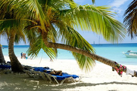 Paradise beach at Saona Island, Dominican Republic