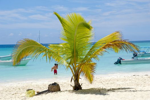 Paradise beach at Saona Island, Dominican Republic