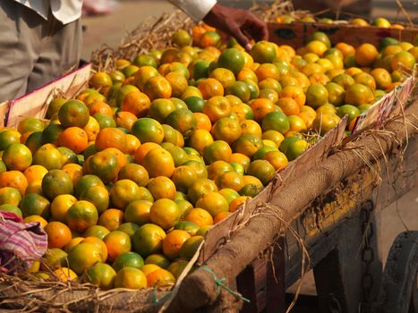 oranges selling on the street of new delhi       